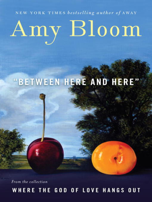 Title details for Between Here and Here by Amy Bloom - Available